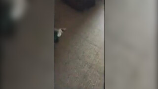 Verdomme ze weet hoe ze de lul moet zuigen en het zaad moet opeten aan het einde