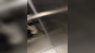 Kerel krijgt een gratis pijpbeurt in een openbare lift
