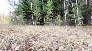 Amateur koppel doet seks in het bos met creampie finish