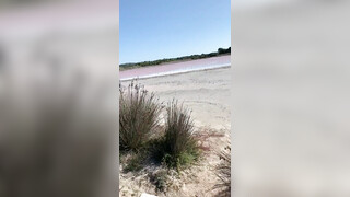 Vrouw doet riskante orale seks op het strand