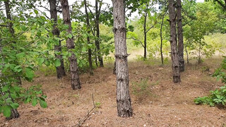 Riskante pijpbeurt en seks buiten met vriendin